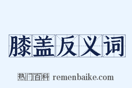 膝盖反义词是什么意思的图片